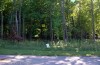 Rogue River Lot 14