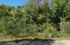 Rogue River Lot 8