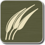 WLC Home