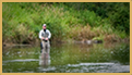 Rogue River